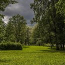 행정중앙2로 이미지