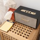 베어포레스트 스테이 이미지