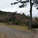 매봉산2길 이미지