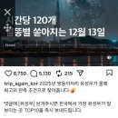 길냥이와 함께하는 이미지