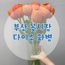 범일전기철물 | 부산 자유도매시장 꽃시장 꽃사러 다녀왔어요