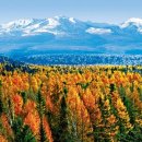 가을여행 이미지