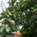 해뜰한옥민박 이미지