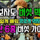 누구든, 가까운 야산에서, 쉽고, 즐겁게, 바로 배워서, 푸짐하고, 맛있게 즐길 수 있는 6종의 식용버섯 이미지