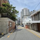 강남-244 이미지