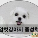 타잔동물병원 이미지