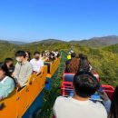 단양삼시세끼 이미지