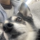 일월관광농원캠핑 이미지