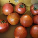 대저농협하나로마트 이미지