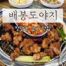 배봉도야지 | 장안동 갈비, 한 돈 1++ 고기 맛집 배봉도야지