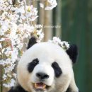 로젠 | 봄날의 로젠 보관이사 후기🌸