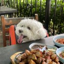 일헌농원 이미지