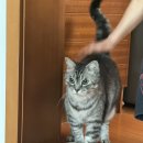 해미읍성황토펜션 | 나들이 (빙빙반점, 태안 하늘앤펜션, 꽃지해수욕장, 딴뚝통나무집식당, 서산 해미읍성, 해미읍성 왕꽈배기)