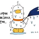 와인슈타인 이미지
