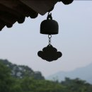 개구쟁이 이미지