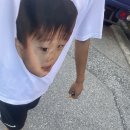 Rose PC방 이미지