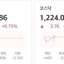 금일