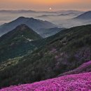 창원 천주산 진달래 산행 : 달천계곡 코스