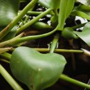 오박사카센타 이미지