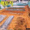 인평경로당 이미지