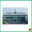 철원군청 주민생활지원과 이미지