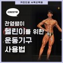 수락산역 헬스장 찬영쌤이 헬린이를 위해 알려주는 기구 사용법