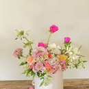 사림동136 이미지