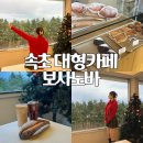 pet 161거2584 | 속초 대형카페 오션뷰 보사노바, 바다랑 소나무 숲 보이는 분좋카