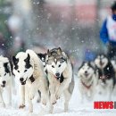 양일목장 이미지