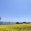 방어진항화장실 이미지