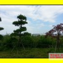 솔비공인중개사사무소 이미지