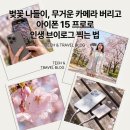 무거운 카메라 대신 아이폰 15 프로 4K 브이로그 세팅으로 벚꽃 인생샷