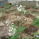 대경당구장 이미지