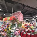 립스 | 상해 레드립스 Redlips 红唇串串香 마라반 솔직 후기 | 백옥란 광장 매그놀리아 지점