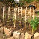 병철농장 이미지