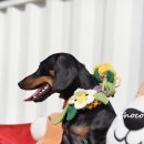 여주-0301 이미지