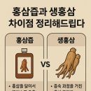 홍삼즙과 생홍삼 차이점 정리해드립니다
