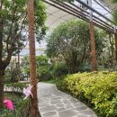 왕궁포레스트 이미지