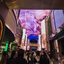 거북이 엔터테이먼트 | 인천 인스파이어 특가오픈! 포레스트타워 디럭스킹후기 (조식, 중식까지)