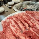 경주집한우 이미지