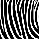 동양키즈태권도 이미지