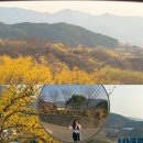 송이이모네&언니들꽃차 | 말로만 듣던 봄(spring)의 “구례” 2박 기록 🌼