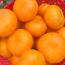 못난이찜 이미지