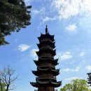 채식이네 | 상하이 룽화사 龙华寺 가는법 채식 국수 후기