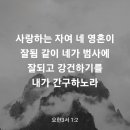 요한삼서 1장 2절 이미지