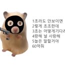 조아요