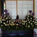 (주)굿모닝지리산 이미지