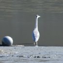 갈대정원 이미지