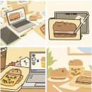 커피냥