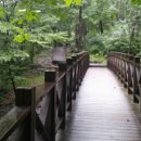 한경희광천토굴새우젓 이미지